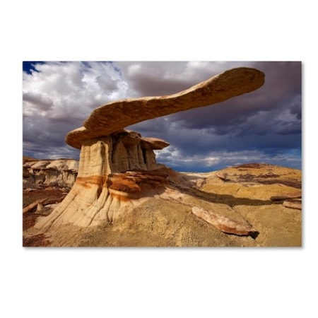 Mike Jones Photo 'NM Ah-shi-sle-pah King Of Wings' Canvas Art,22x32